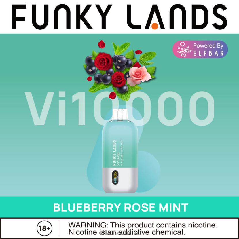 ELFBAR funky lands vape de unică folosință vi10000 puf afine trandafir mentă R06FNN163